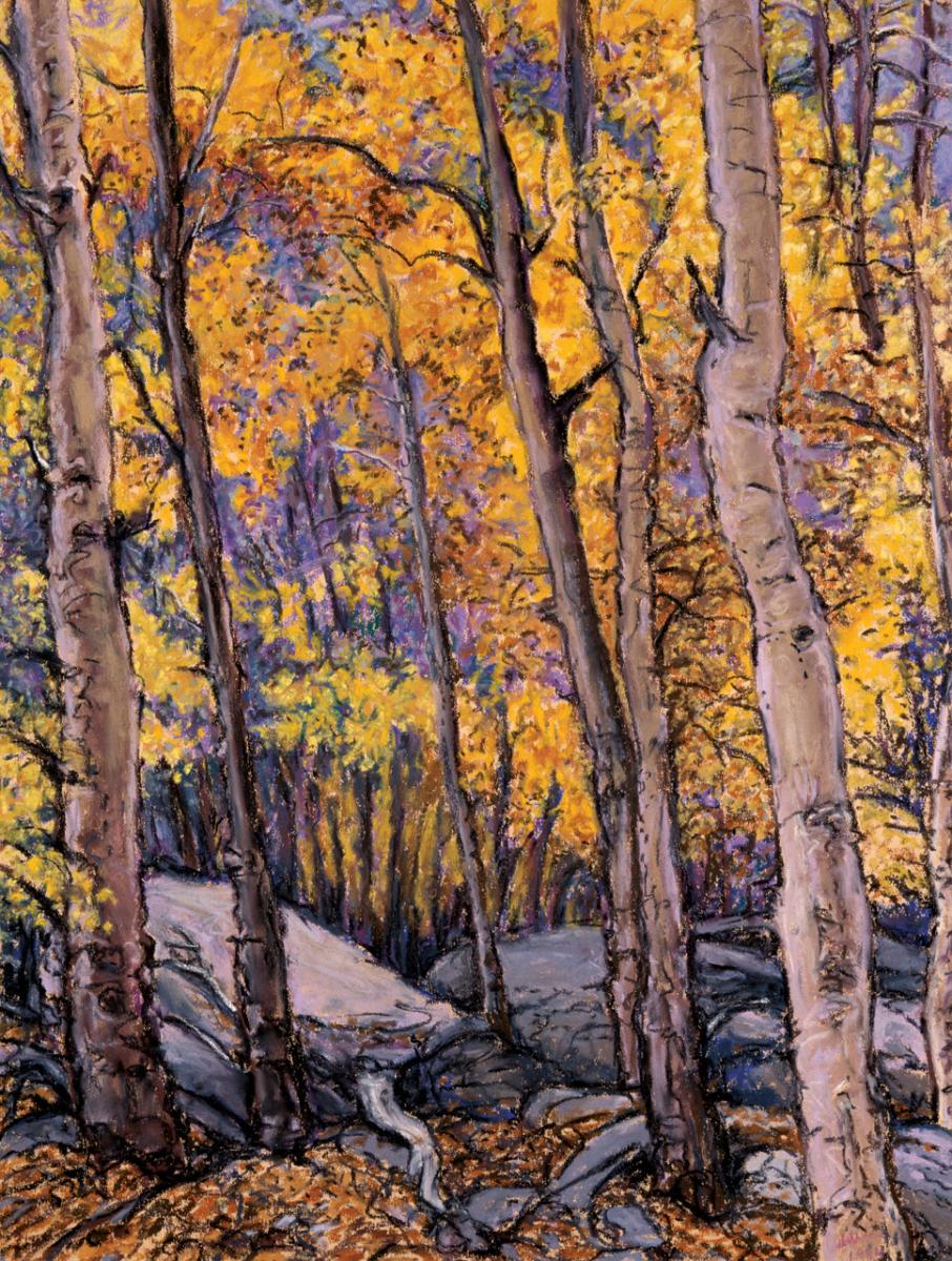 Quaking Aspen I Love You