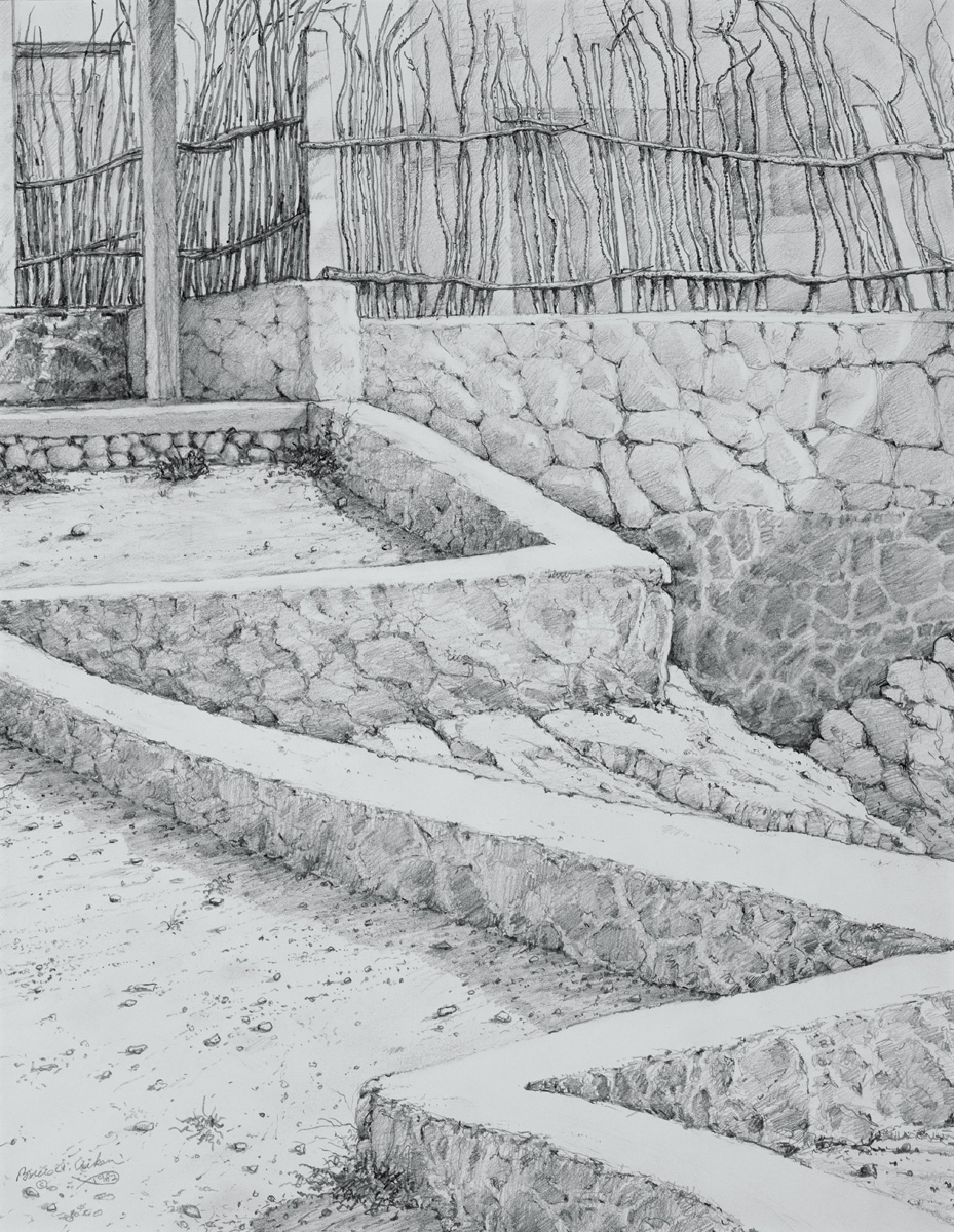 Cercado con Ocotillo - pencil 1982